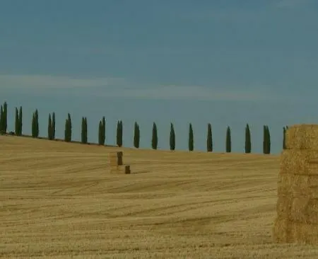 La Casa Del Susino *