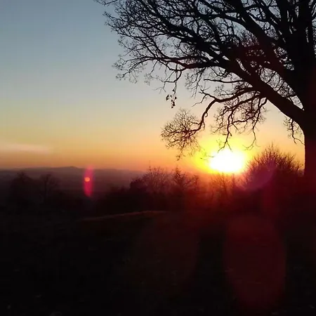 La Casa Del Susino Castiglione dʼOrcia