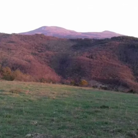 Dom wakacyjny La Casa Del Susino *